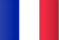 Leather Goods Manufacturer for France